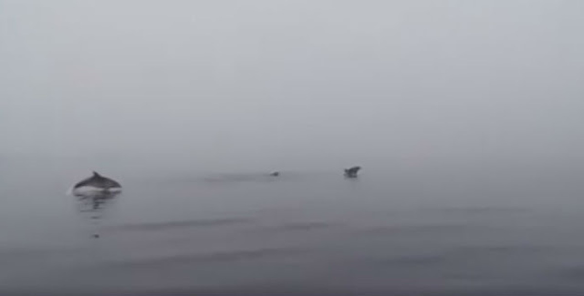 ΦΩΤΟ από eviazoom