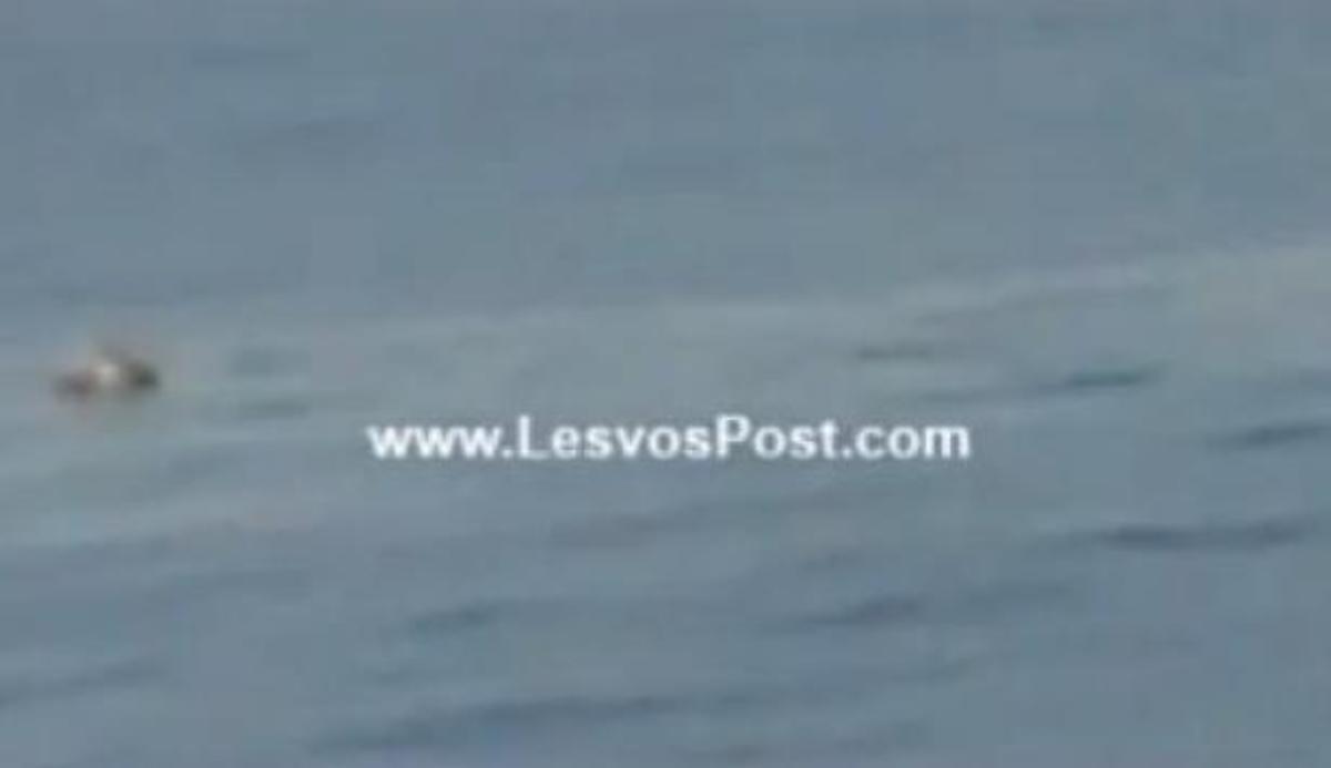 Εικόνα από το LesvosPost