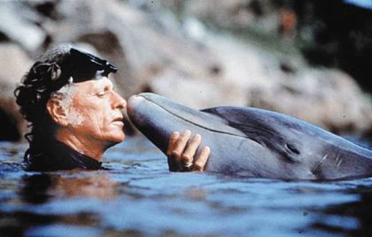 ΒΙΝΤΕΟ: Δελφίνια “ΟΥΚάδες” για αμερικάνικο και ρώσικο ΠΝ