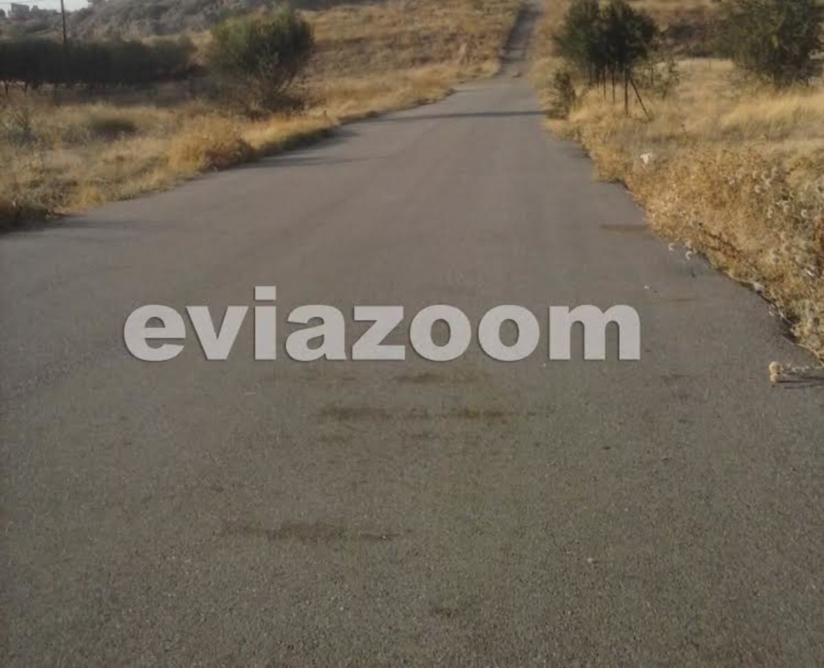 ΦΩΤΟ από EVIAZOOM