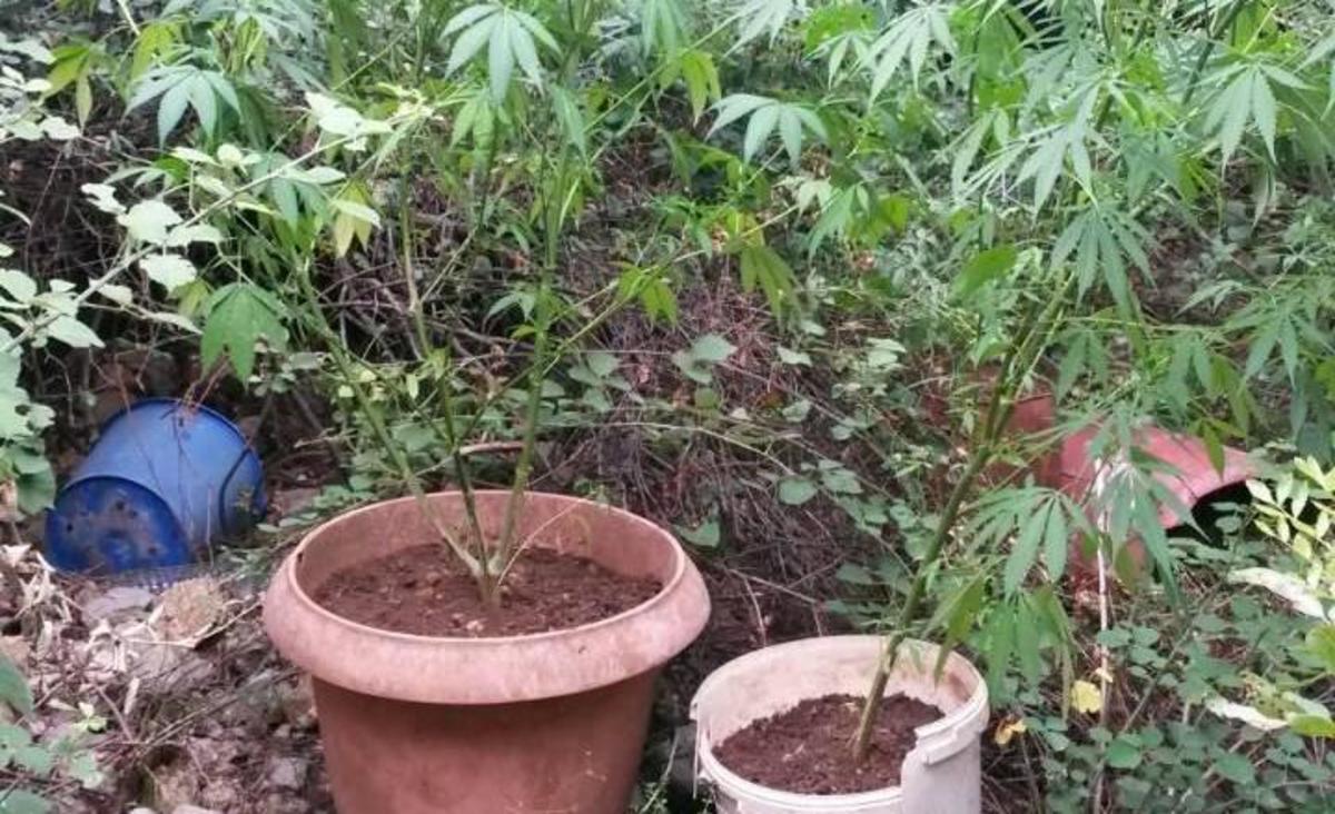 ΦΩΤΟ από ΕΛ.ΑΣ.