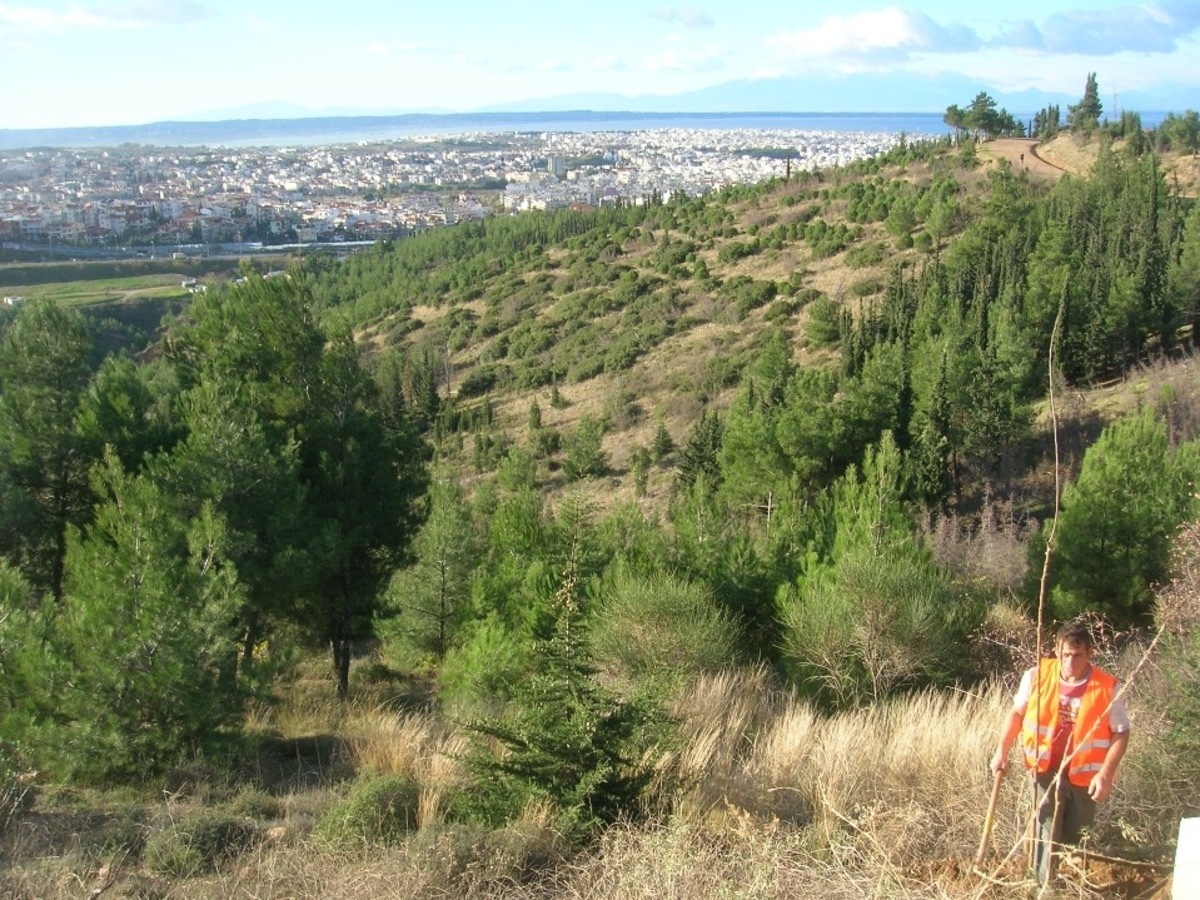 Μαθητική δενδροφύτευση στο Γύθειο