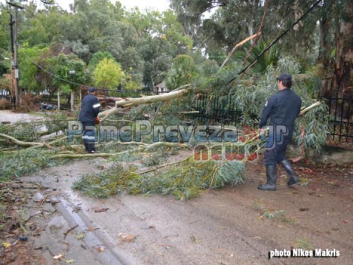 ΦΩΤΟ από το PamePreveza