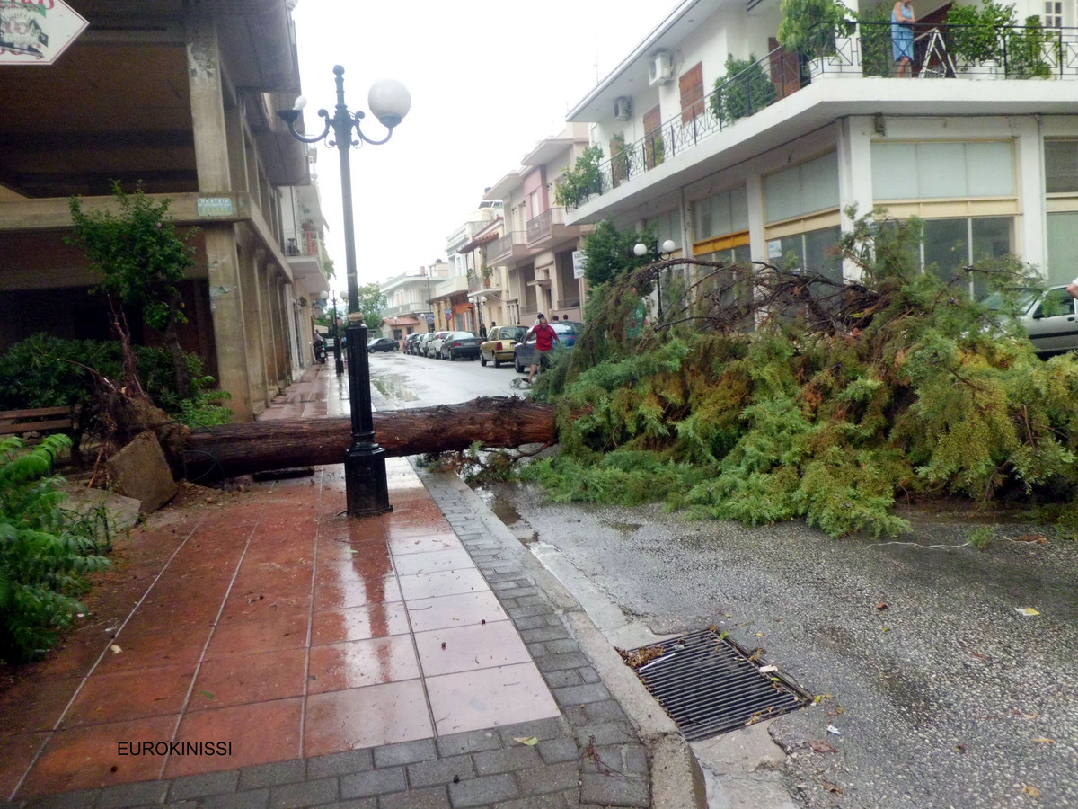 Οι θυελλώδεις άνεμοι έριξαν δέντρα στην Εθνική Οδό Πύργου-Τρίπολης