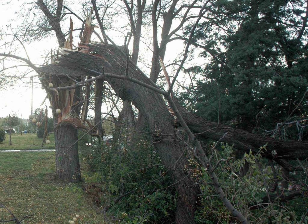 ΦΩΤΟ ΑΡΧΕΙΟΥ EUROKINISSI