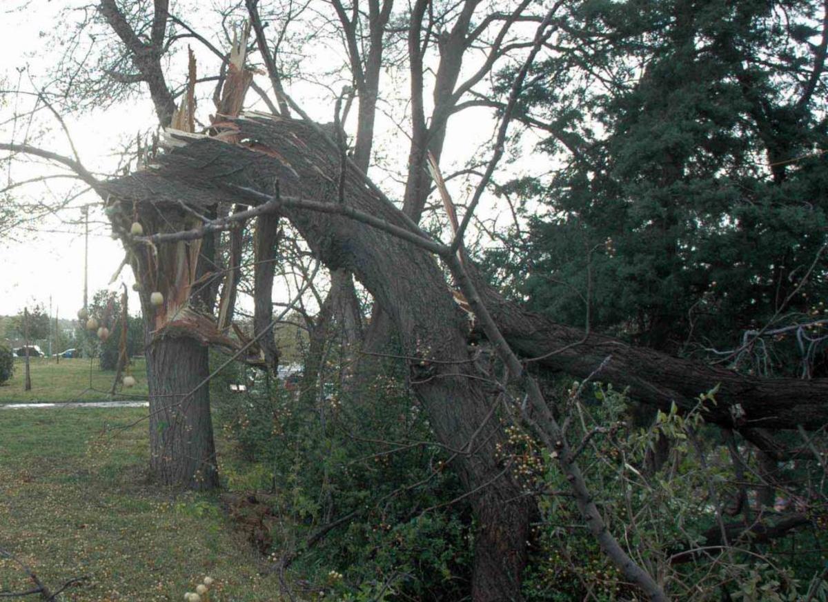 ΦΩΤΟ ΑΡΧΕΙΟΥ EUROKINISSI