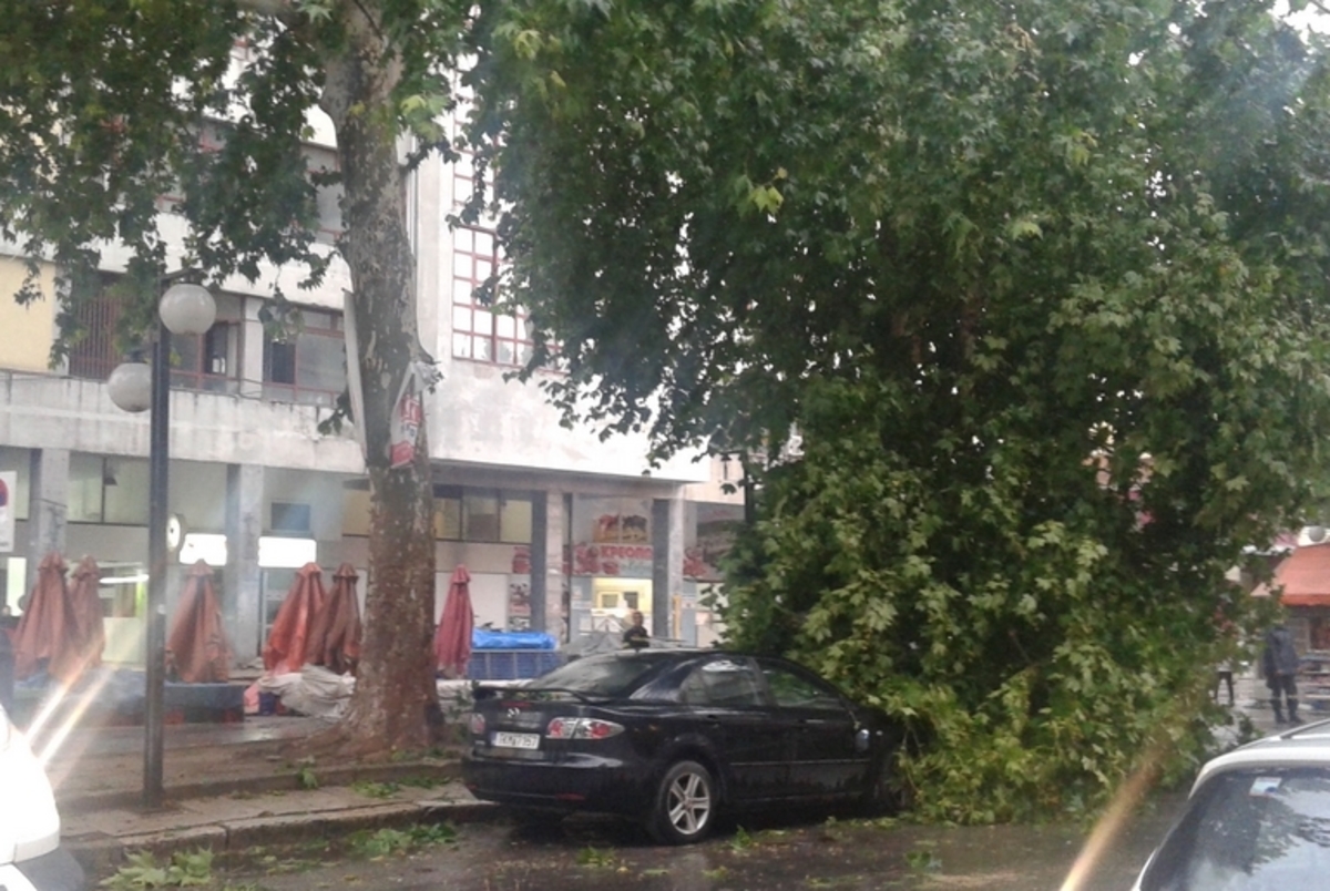 ΦΩΤΟ από το trikalavoice