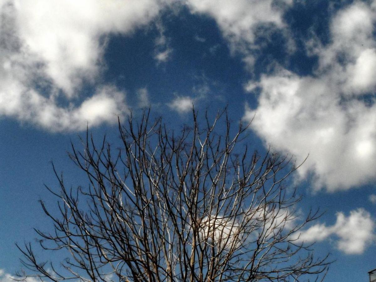 ΦΩΤΟ ΑΡΧΕΙΟΥ EUROKINISSI