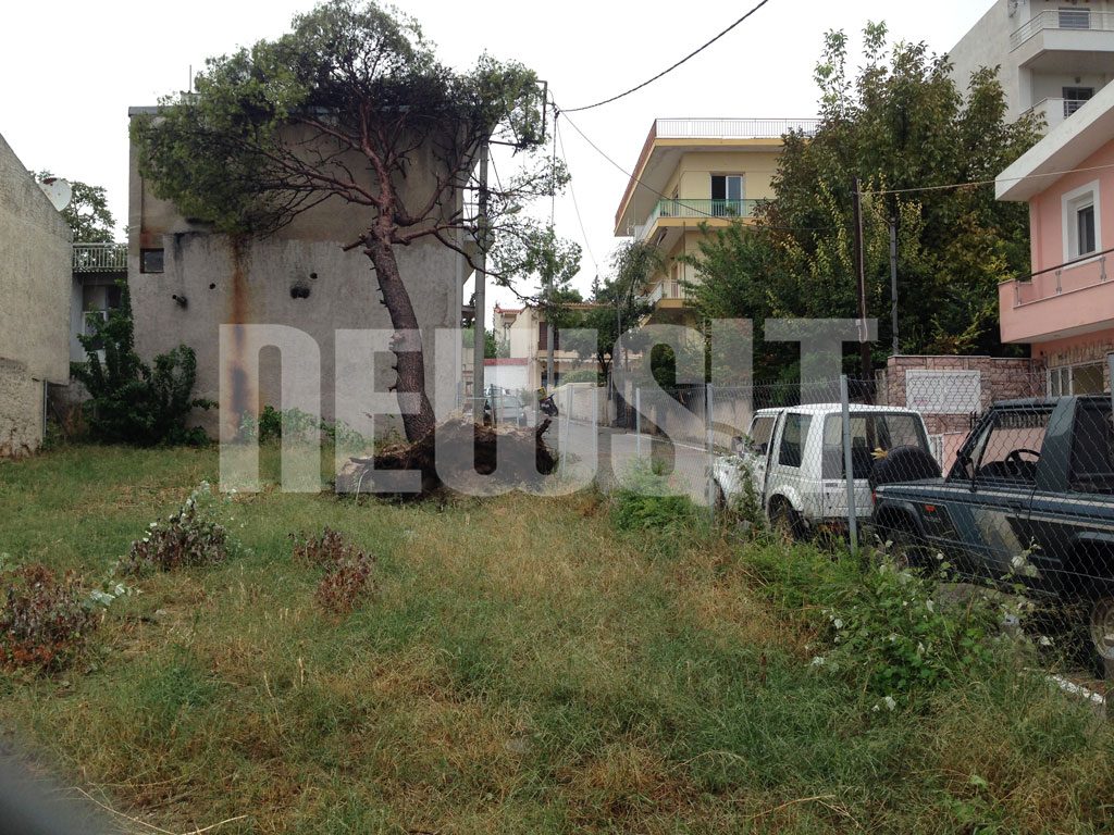 Η καταιγίδα ξερίζωσε τεράστια δέντρα! – Εντυπωσιακές ΦΩΤΟ