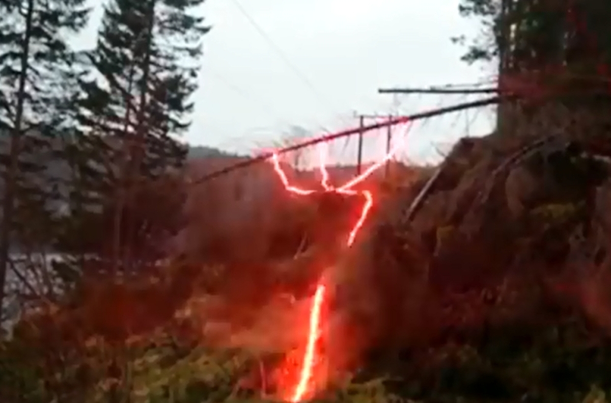 Δες τι μπορεί να συμβεί αν πέσει δέντρο σε καλώδιο υψηλής τάσης (βίντεο)