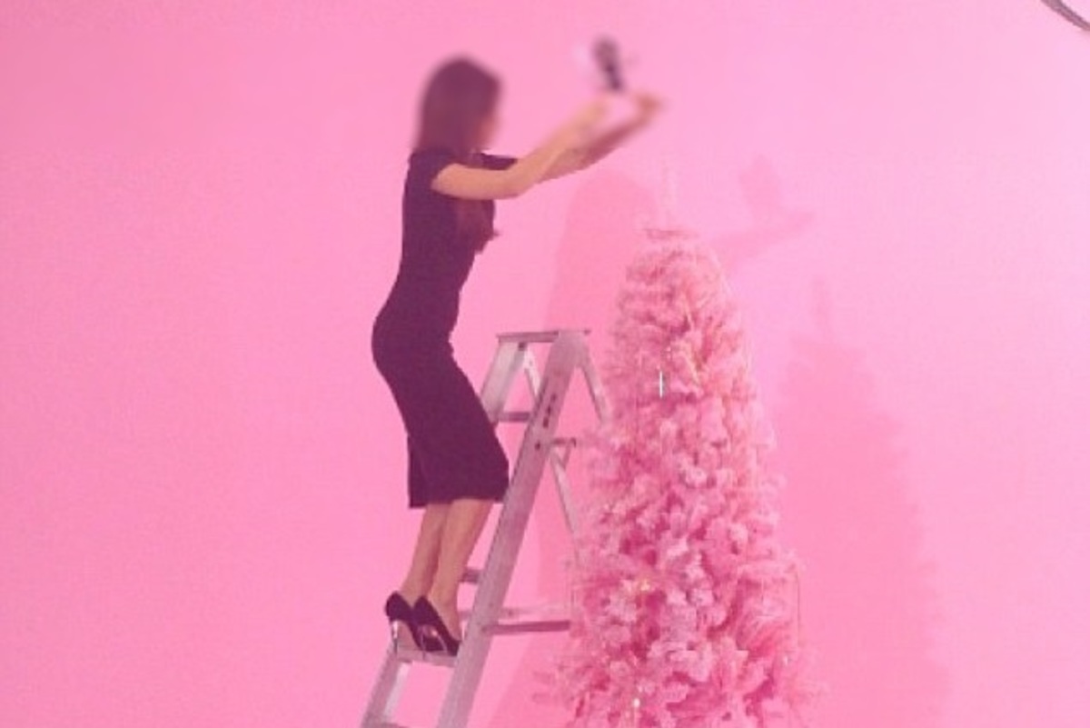 Ποια γνωστή μας στόλισε με 12ποντα το ροζ δέντρο της;