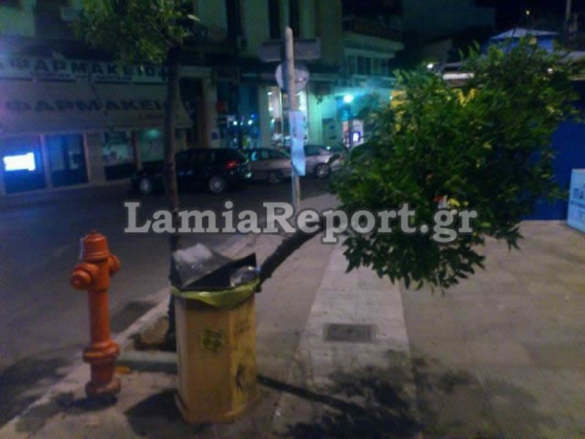 Λαμία: Αντί για φρένο είχε… δέντρο!