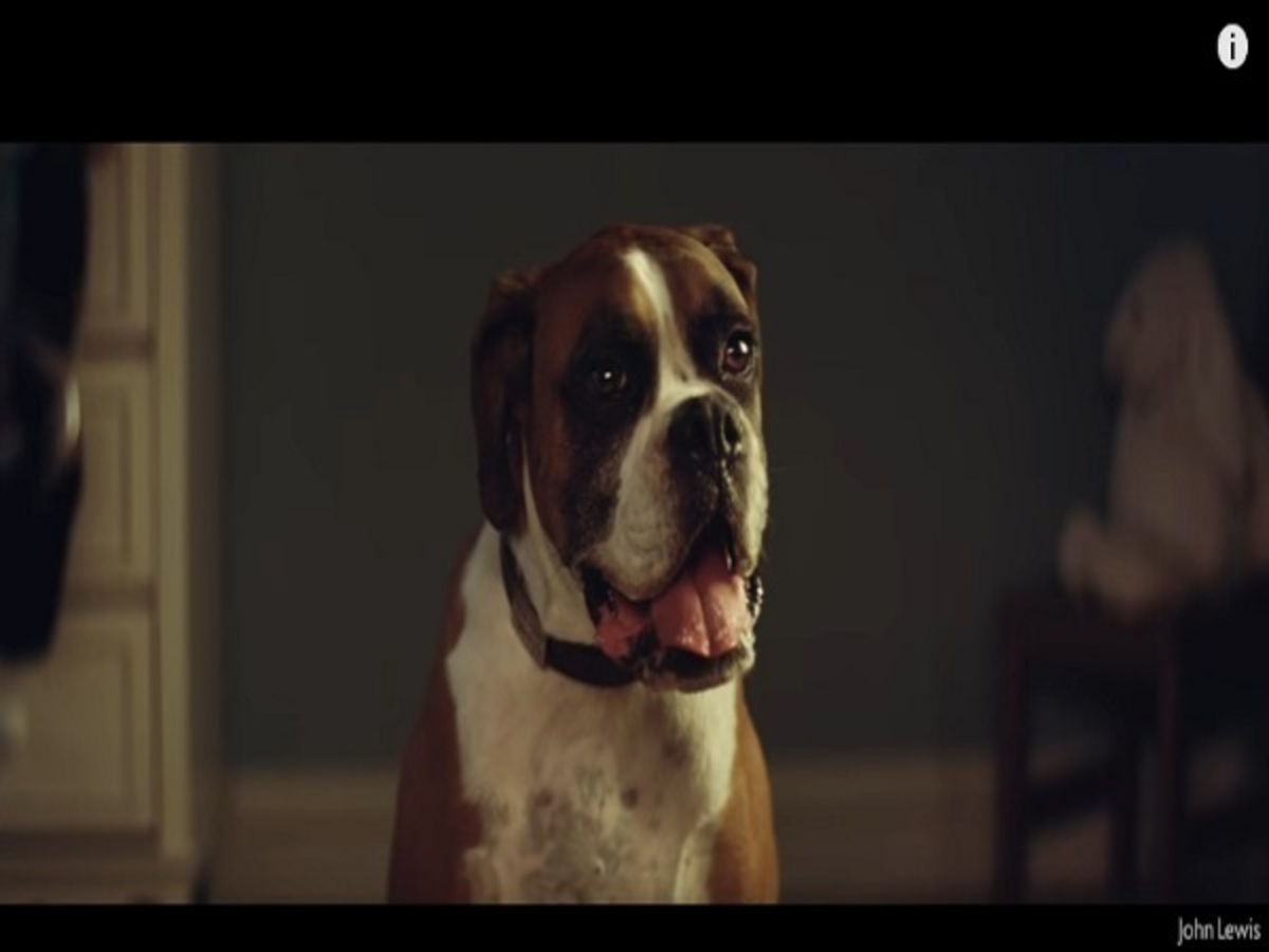 #BusterTheBoxer: Viral η χριστουγεννιάτικη διαφήμιση των “John Lewis”! [vid]