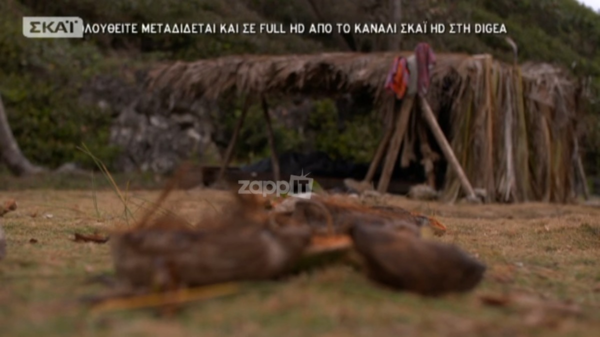 Νύχτα ταλαιπωρίας για την ομάδα των «Διασήμων» στο Survivor!