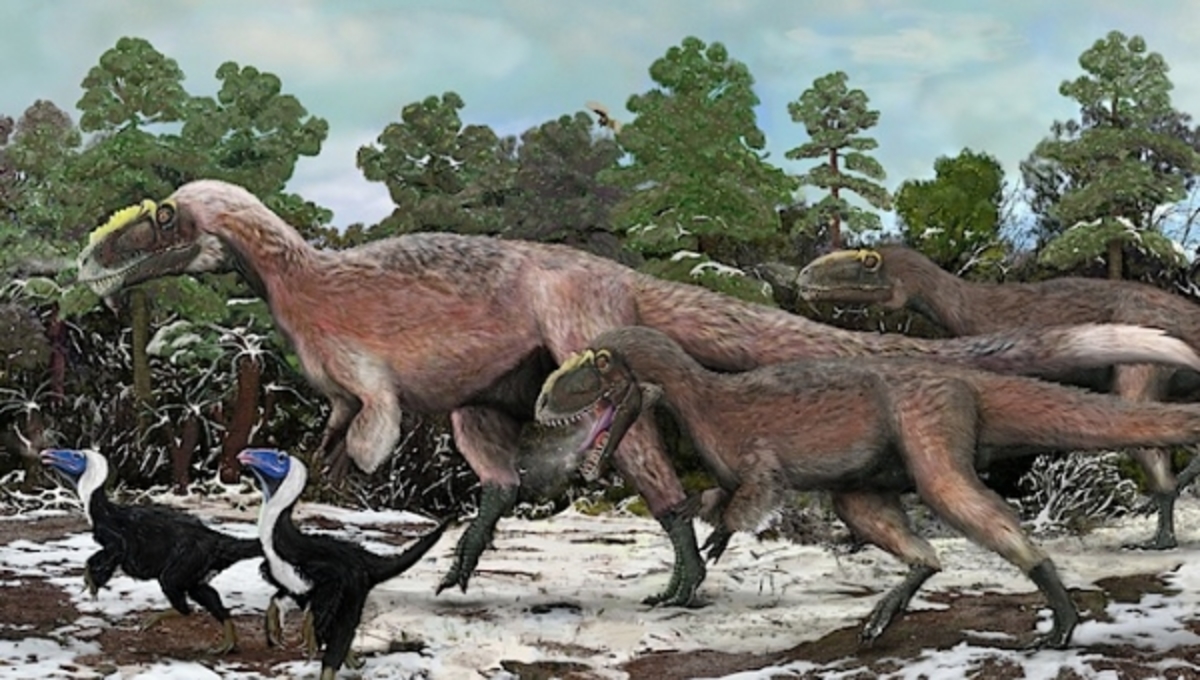 Ανακαλύφθηκε ο μεγαλύτερος φτερωτός δεινόσαυρος που υπήρξε ποτέ