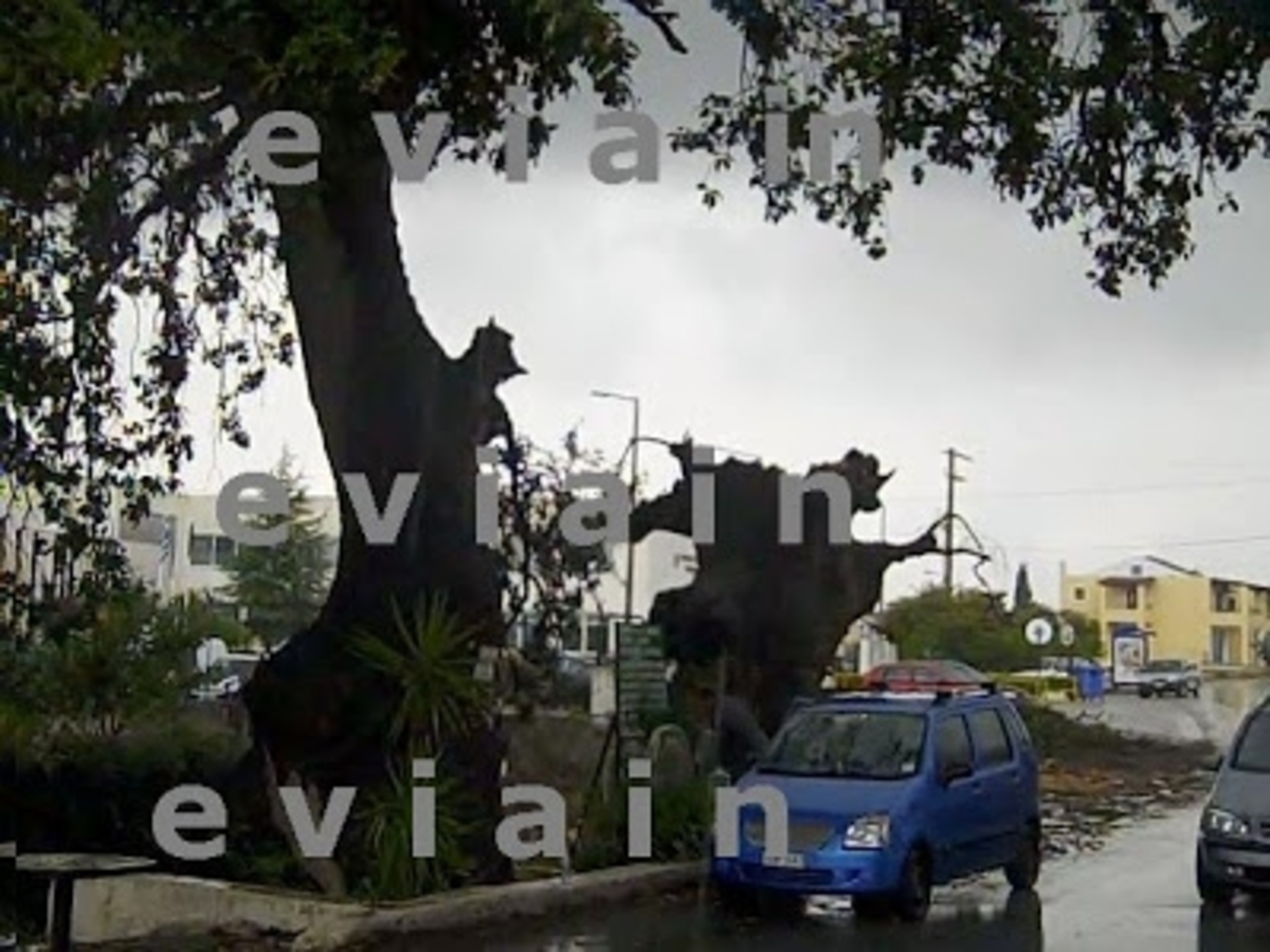 ΦΩΤΟ από  eviain.blogspot