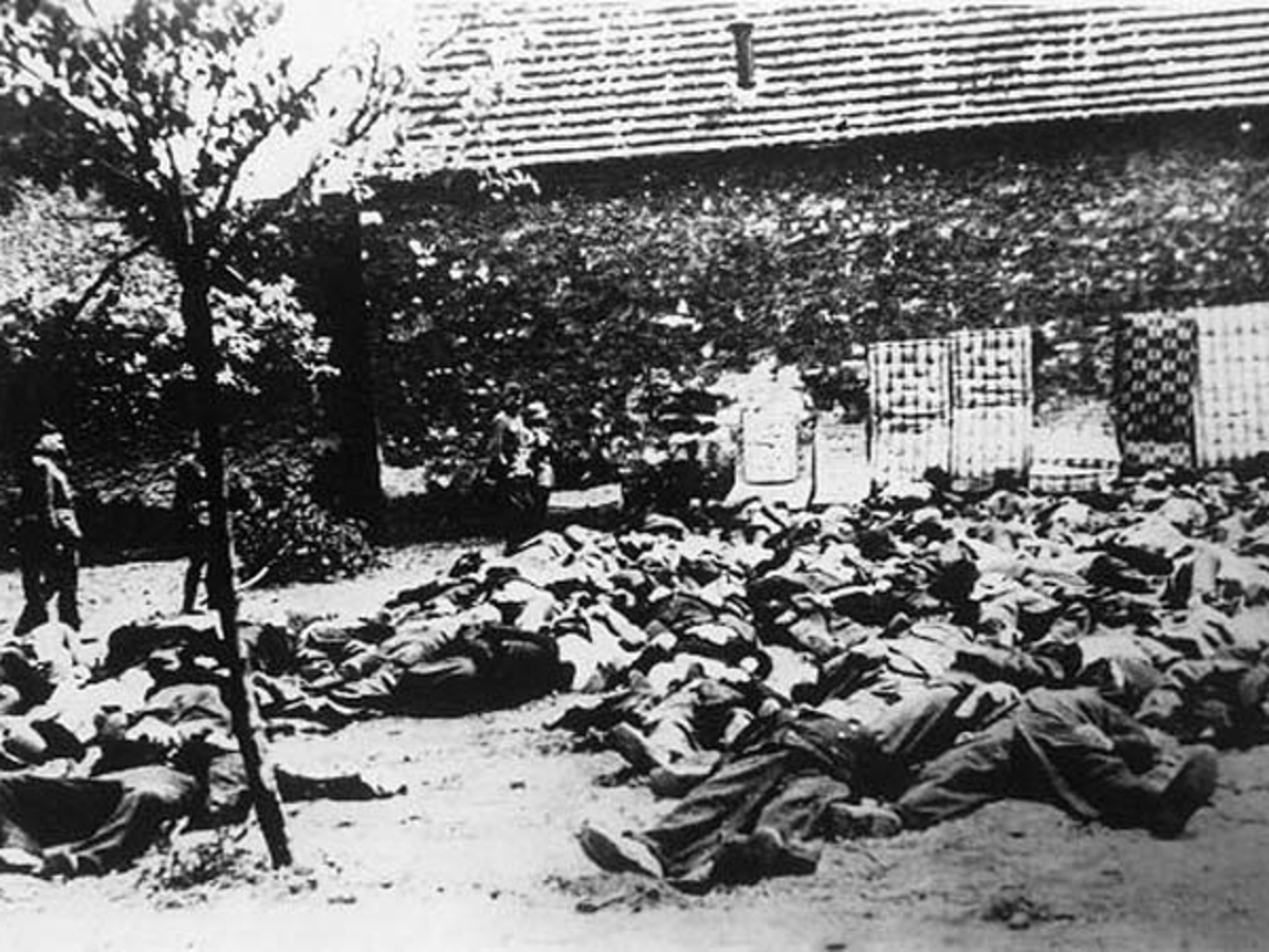 Άσυλο στους Γερμανούς για τη σφαγή των 218 στο Δίστομο