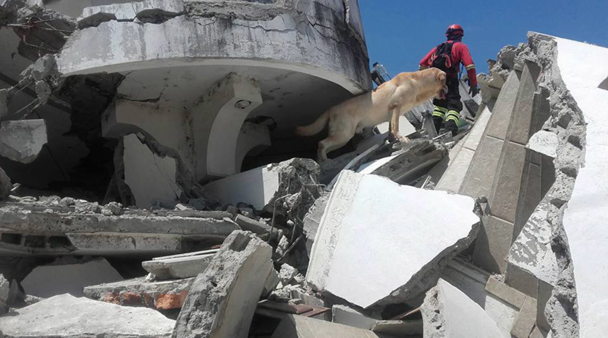 Πηγή: Cuerpo De Bomberos Ibarra Ibarra / Facebook