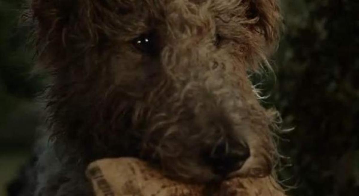 Μία συγκινητική διαφήμιση με ανατρεπτικό φινάλε! Δείτε την!