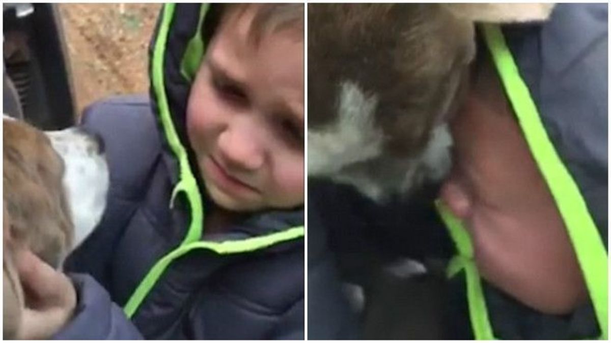 Βίντεο που σε… γονατίζει: Αγοράκι ξεσπά σε λυγμούς όταν αντικρίζει τον σκύλο του που είχε χαθεί