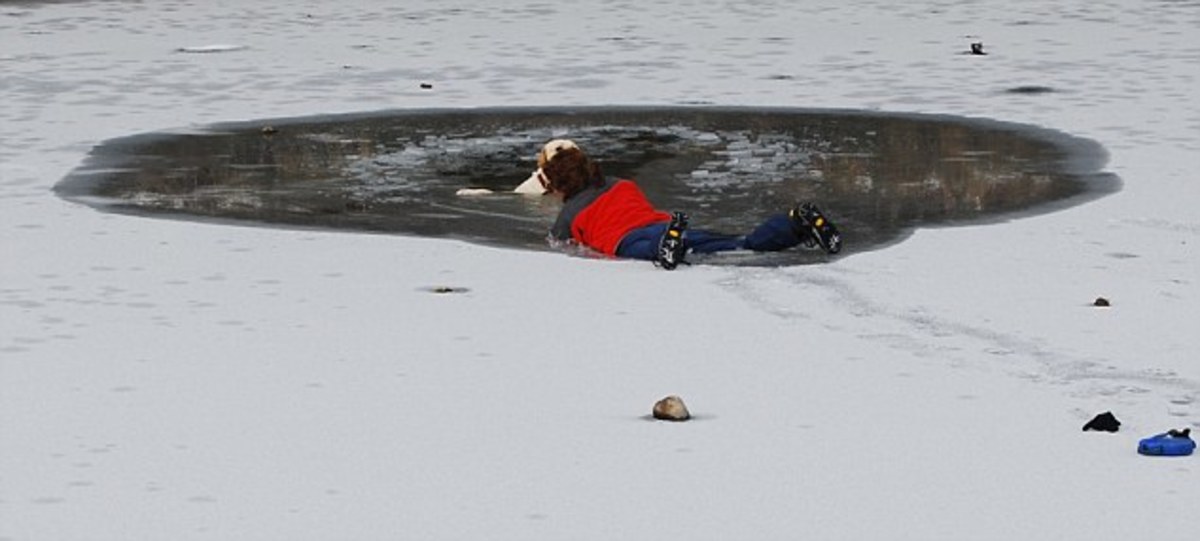 Επεσε στην παγωμένη λίμνη για να σώσει τον σκύλο της – Συγκλονιστικές φωτο