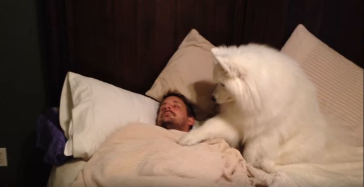 Κανείς δεν πίστευε ότι τον ξυπνάει έτσι η σκυλίτσα του μέχρι που το βιντεοσκόπησε [vid]