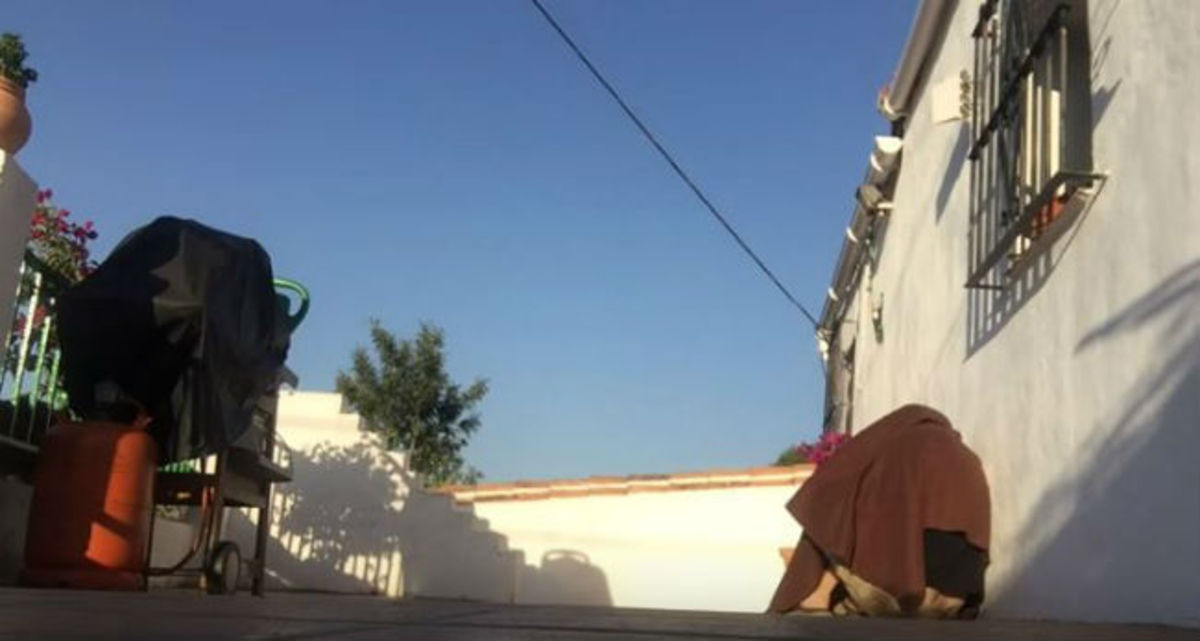 Αυτός ο σκύλος έπαθε το σοκ της ζωής του όταν αντίκρισε μετά από καιρό τον ιδιοκτήτη του!