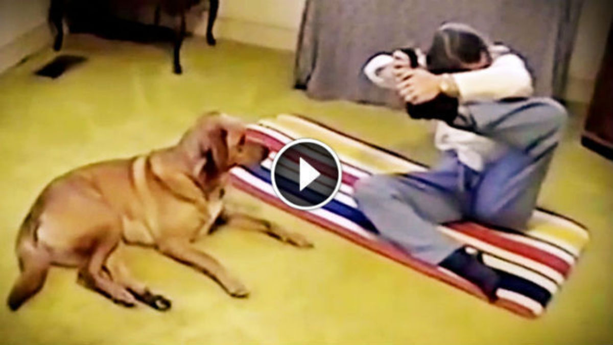 Η γυναίκα προσπαθούσε να κάνει μια δύσκολη άσκηση γιόγκα – Η αντίδραση του σκύλου της είναι ξεκαρδιστική!