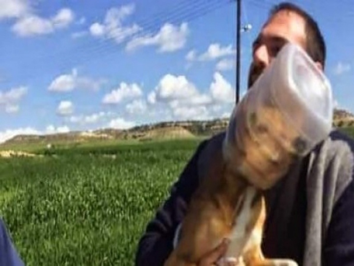 Ανεγκέφαλοι “σφήνωσαν” το κεφάλι σκύλου σε μπουκάλι (ΦΩΤΟ)