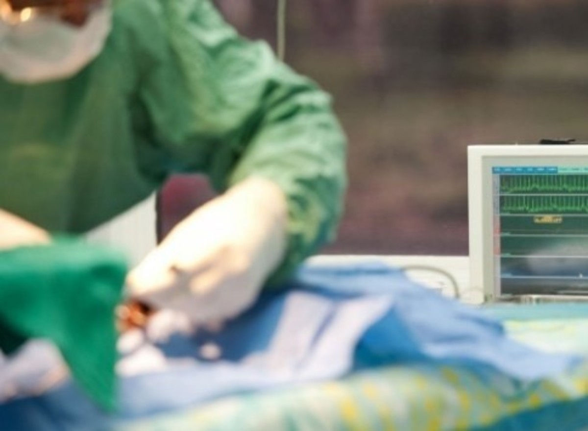 ΦΩΤΟ - ΑΡΧΕΙΟΥ