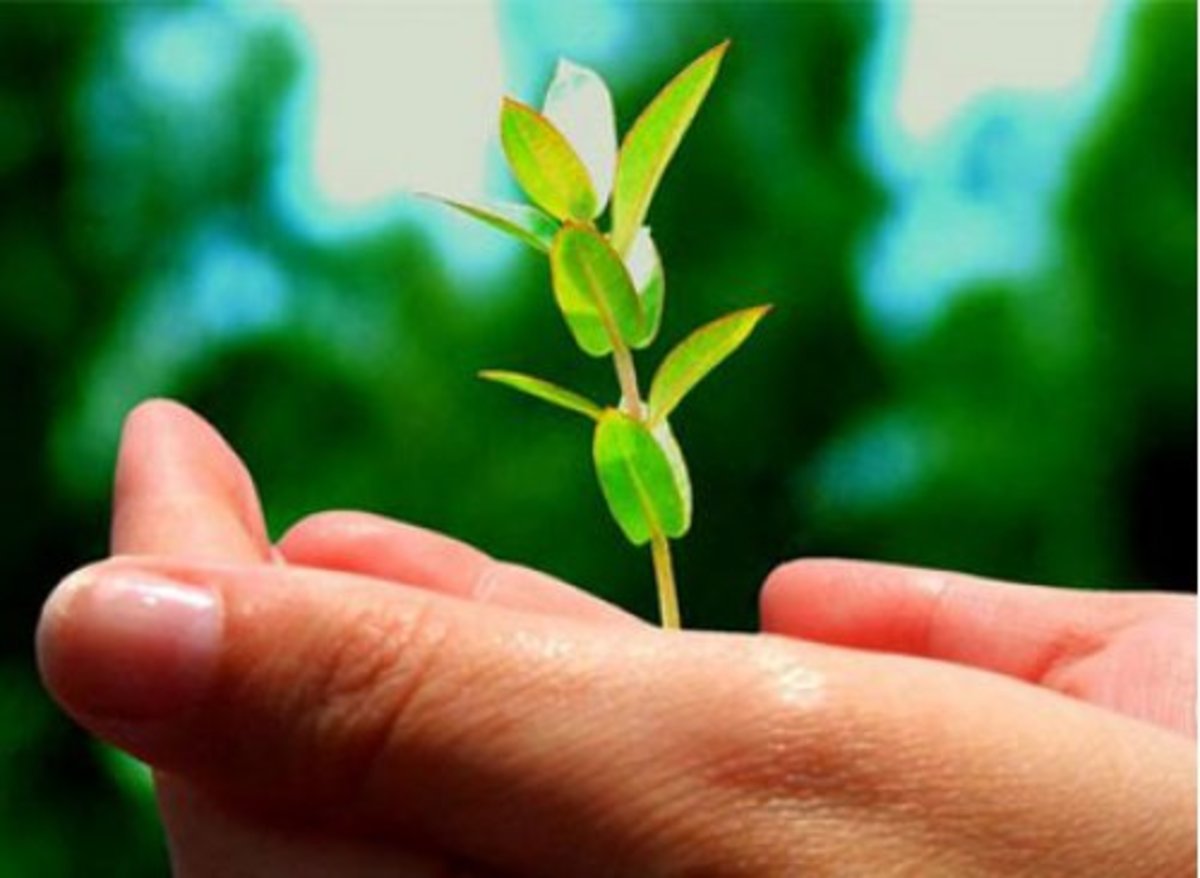 Έμποροι της απελπισίας