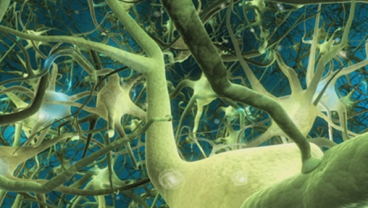 Νέα μέθοδος αποκατάστασης των εγκεφαλικών βλαβών