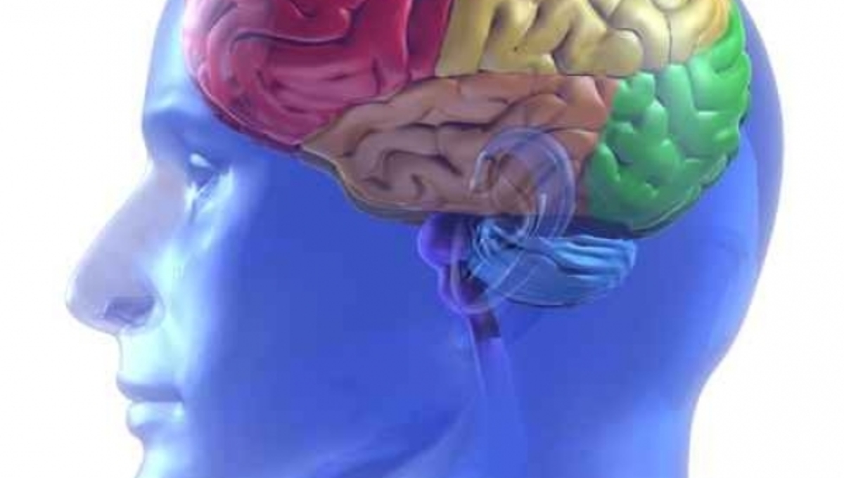 Ο μυστικός χάρτης του ανθρώπινου εγκεφάλου