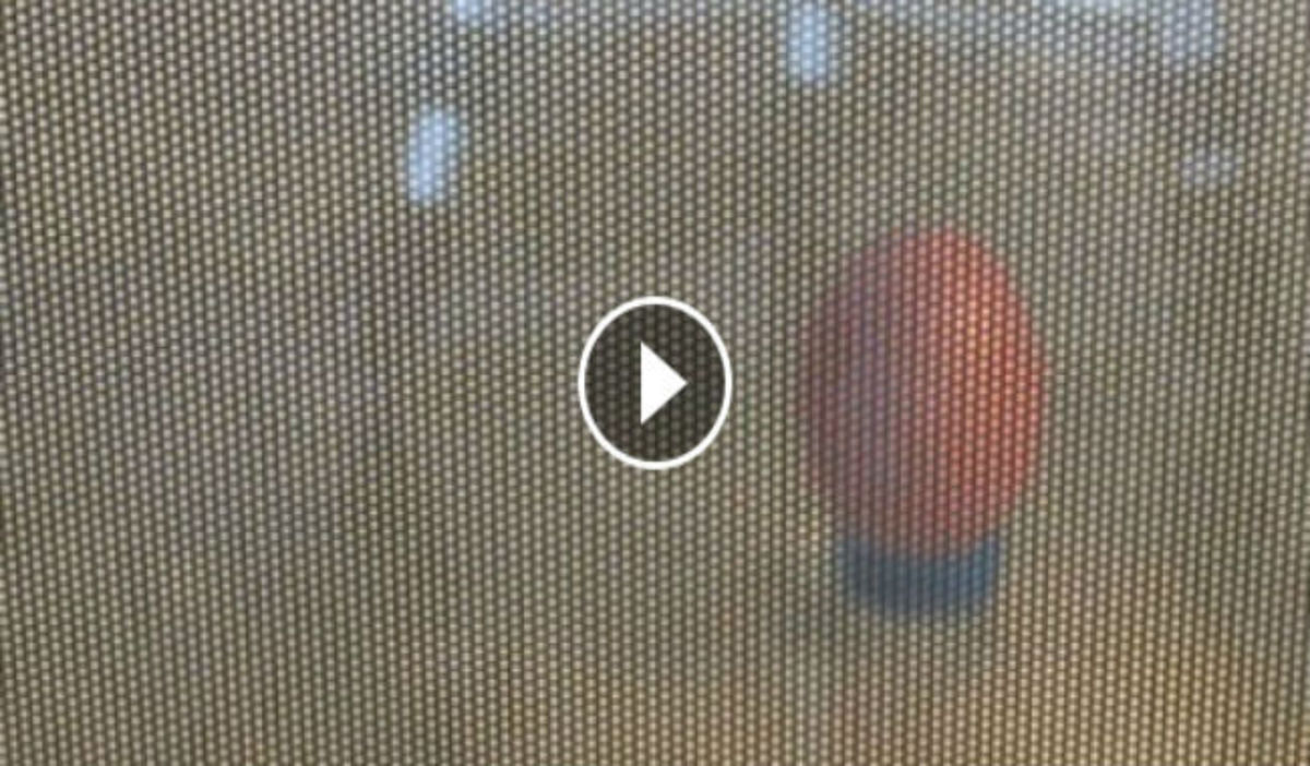 Τι θα συμβεί εάν βάλετε ένα αυγό στο φούρνο μικροκυμάτων; (ΒΙΝΤΕΟ)
