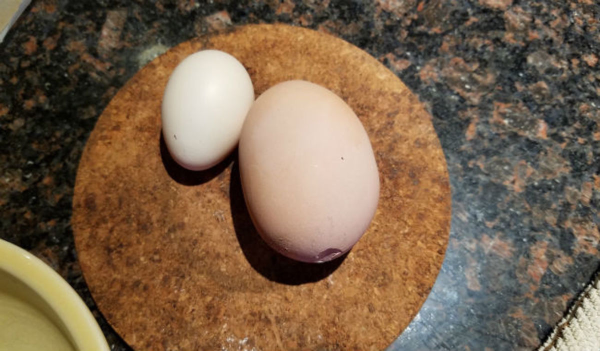 Έσπασε το αυγό και δεν πίστευε αυτό που είδε στο εσωτερικό του! (vid)