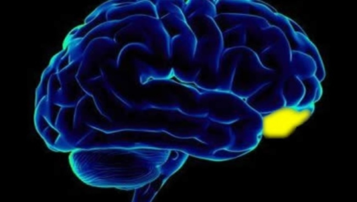 Πώς γίνεται να αυξήσετε το IQ σας με φυσικό τρόπο