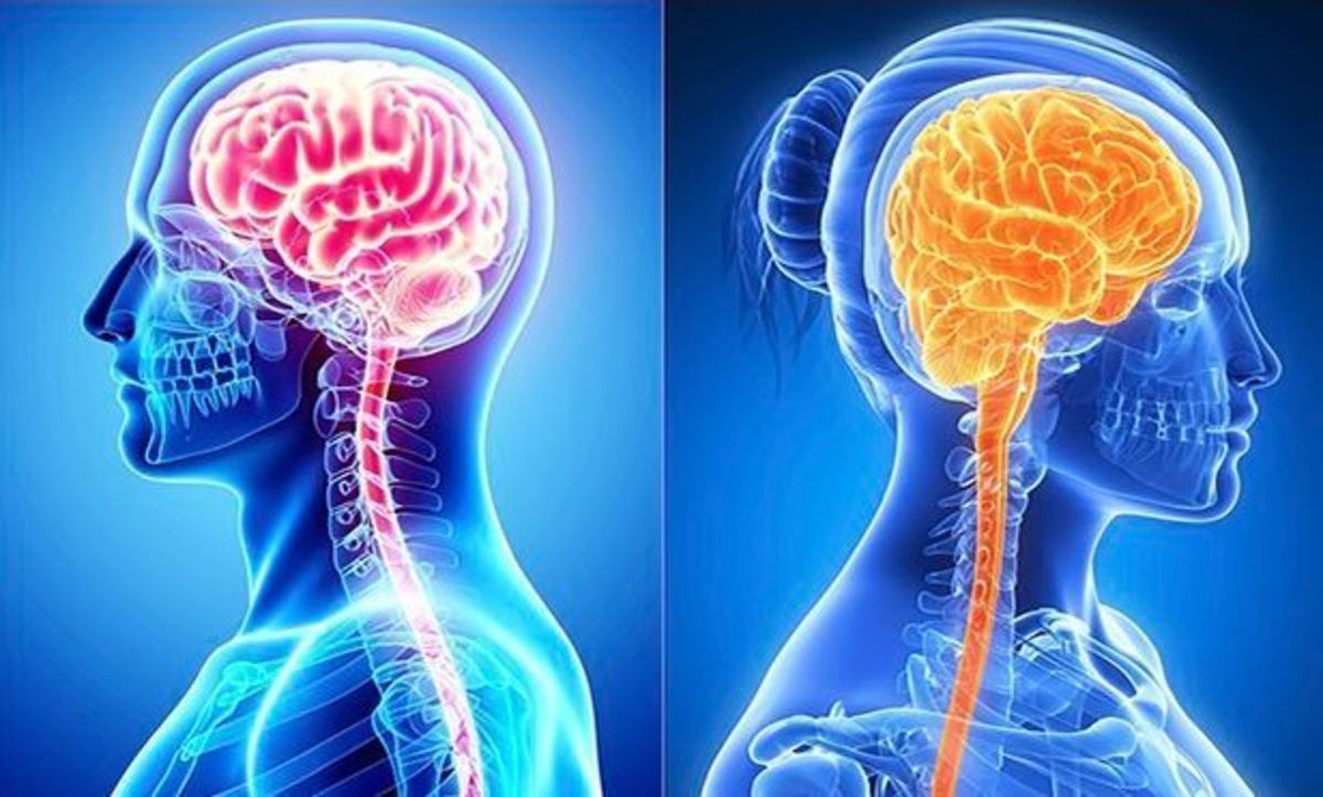 Πόσο διαφέρει τελικά ο εγκέφαλος ανδρών και γυναικών; Δεν φαντάζεστε τι έδειξε μεγάλη έρευνα