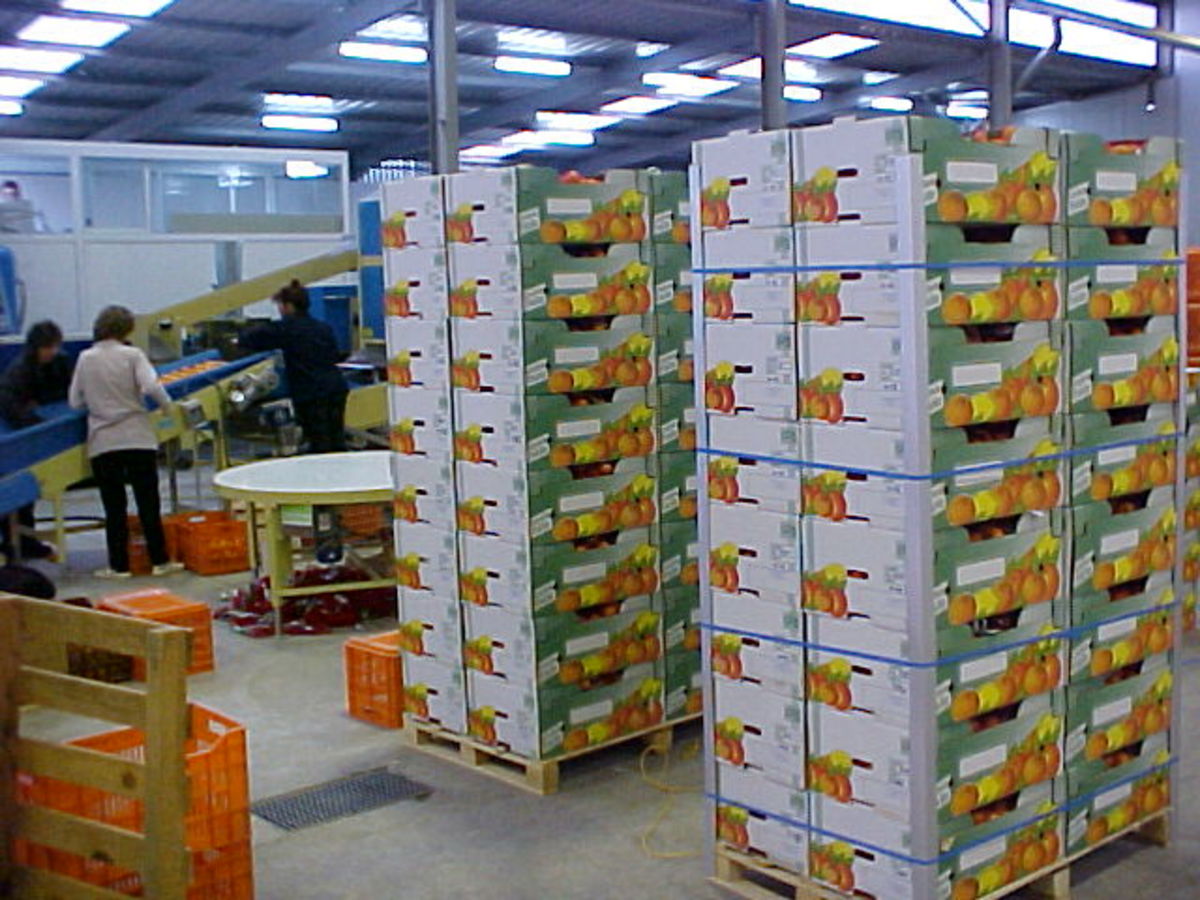 Αυξήθηκαν οι εξαγωγές το 2012