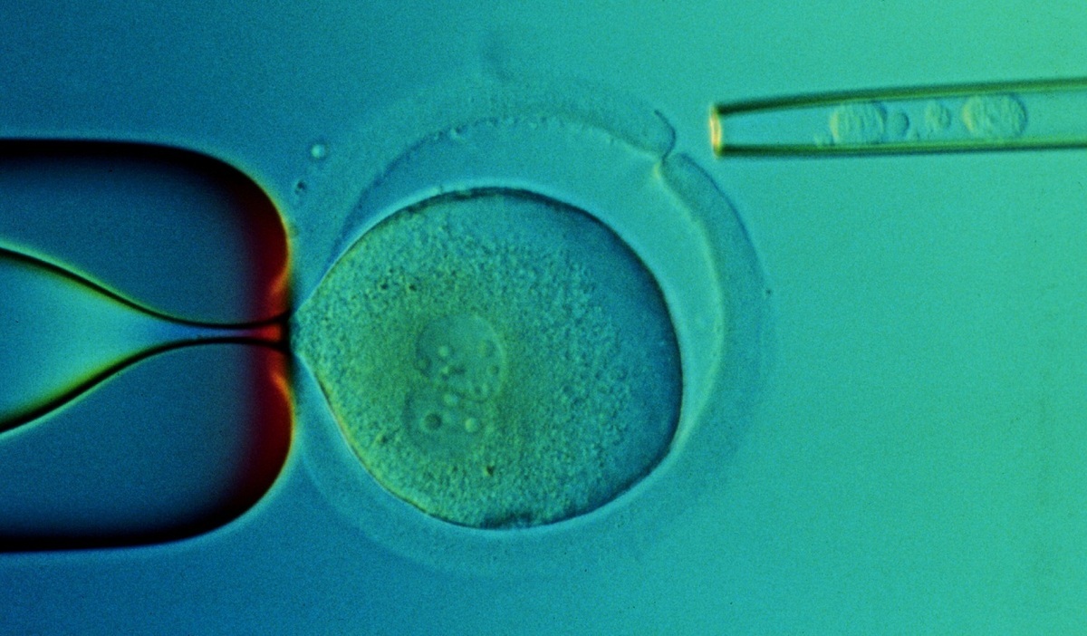 «Έκανα 5-6 εξωσωματικές. Η μητέρα μου είχε διαγνωσθεί με καρκίνο και…»