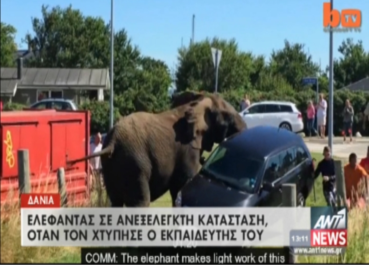 Εξαγριωμένος ελέφαντας σηκώνει αυτοκίνητο