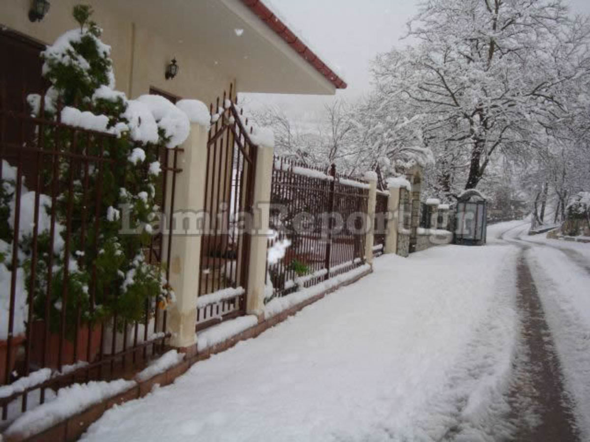 Εικόνα από το χιονισμένο Ελευθεροχώρι - ΦΩΤΟ από το LamiaReport