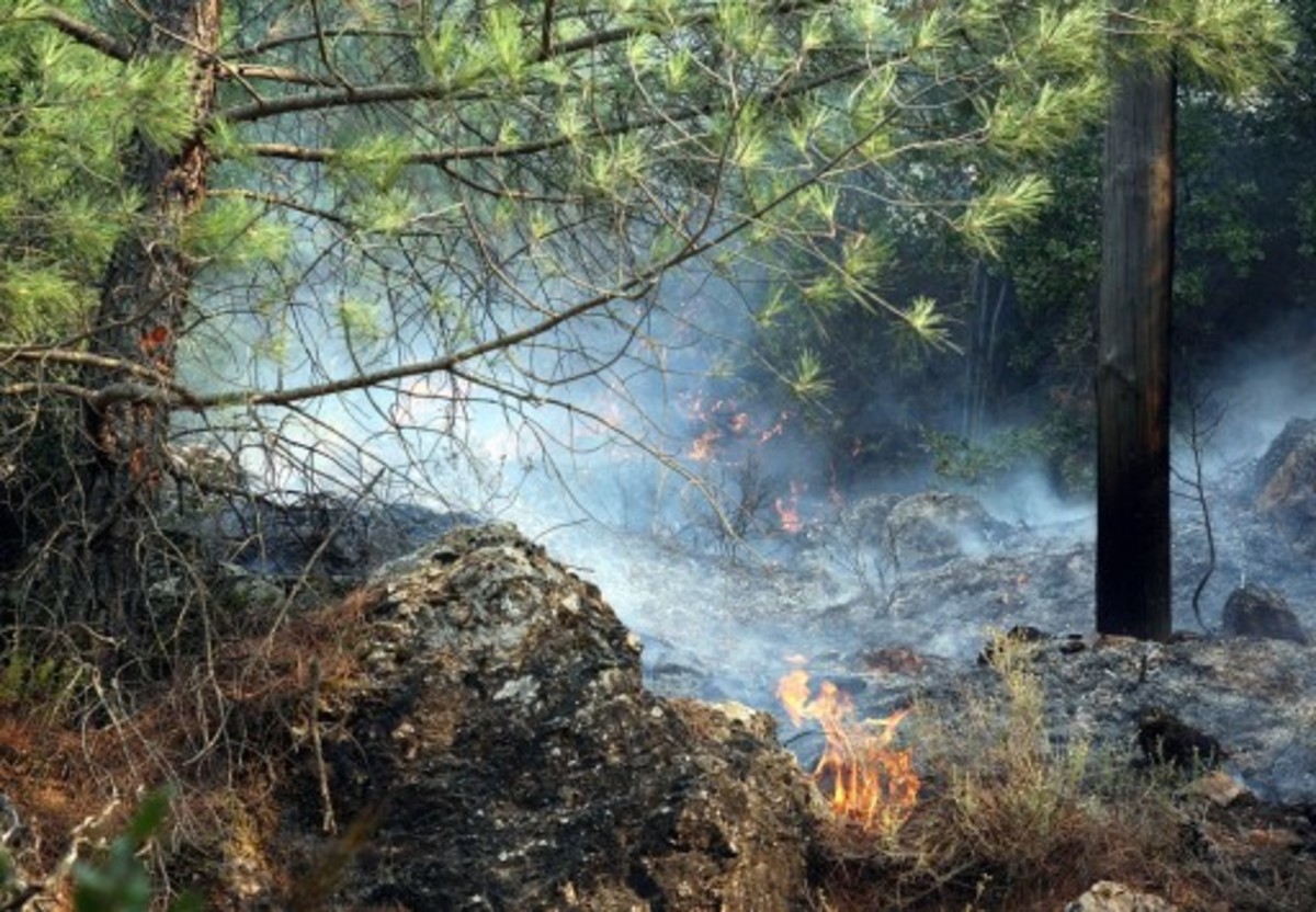 Χανιά: Ομολόγησε 20 εμπρησμούς!