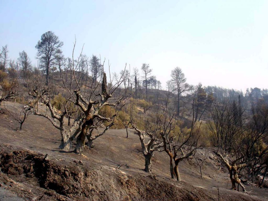 Στα ίχνη των εμπρηστών του Ρεθύμνου
