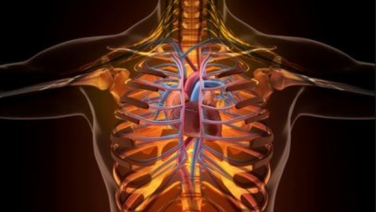 Προσοχή σε όλους: Τι συμβαίνει στο σώμα τις πρώτες 24 ώρες αφότου πιείτε ενεργειακό ποτό