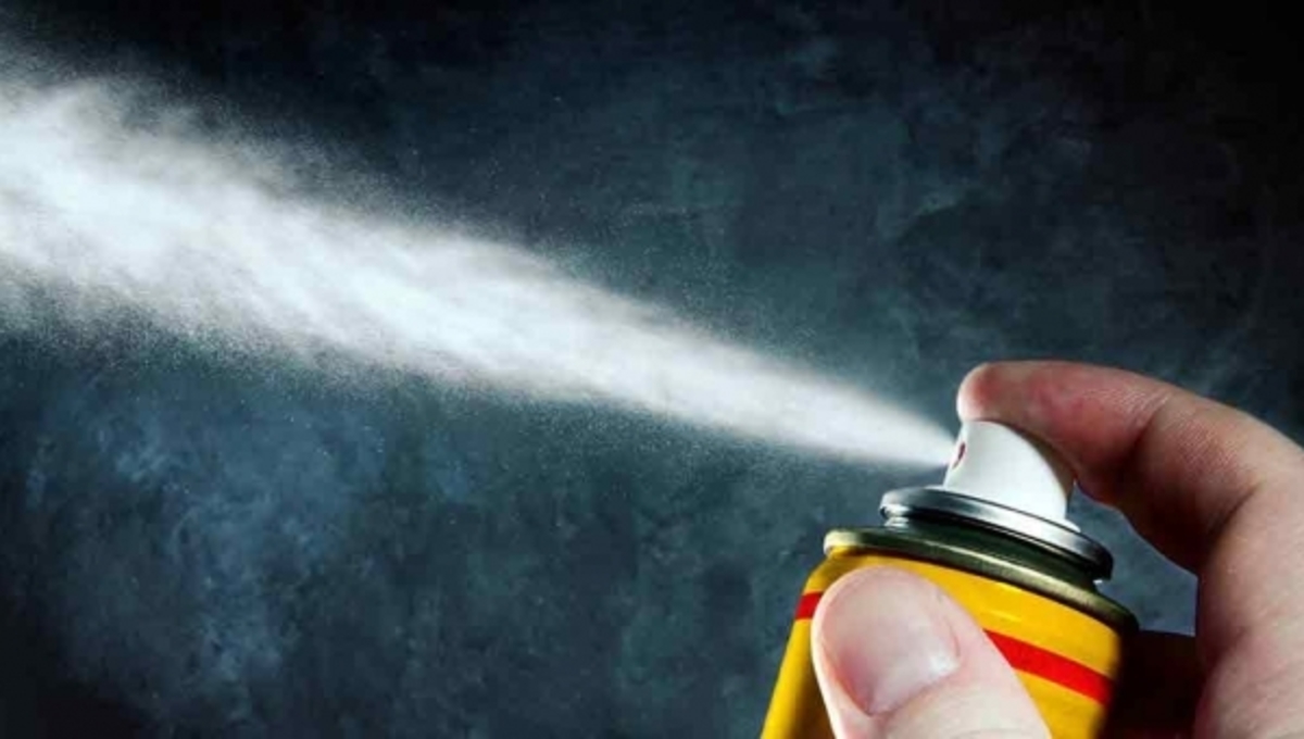 Πώς να χρησιμοποιούμε σωστά τα εντομοκτόνα στο σπίτι