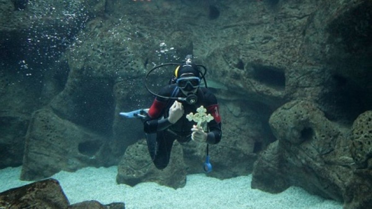 φωτό από cretalive