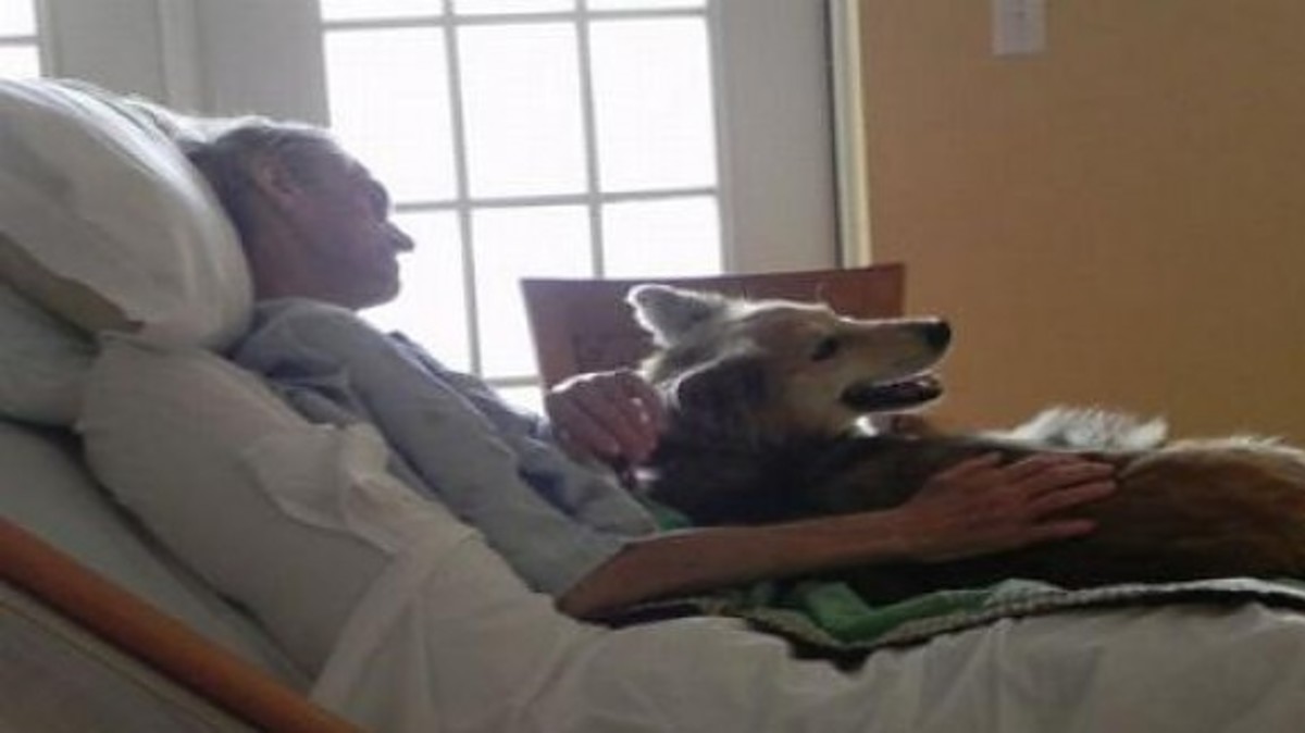 Σπαράζει καρδιές… Δείτε την τελευταία επιθυμία ετοιμοθάνατου να πραγματοποιείται… (ΦΩΤΟ και VIDEO)