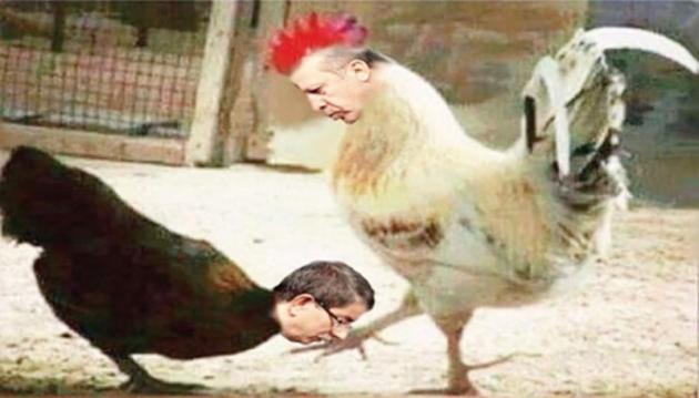 Κόκορας ο Ερντογάν και κότα ο Νταβούτογλου! [pic]