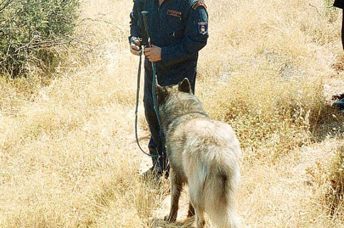 ΦΩΤΟ ΑΡΧΕΙΟΥ EUROKINISSI