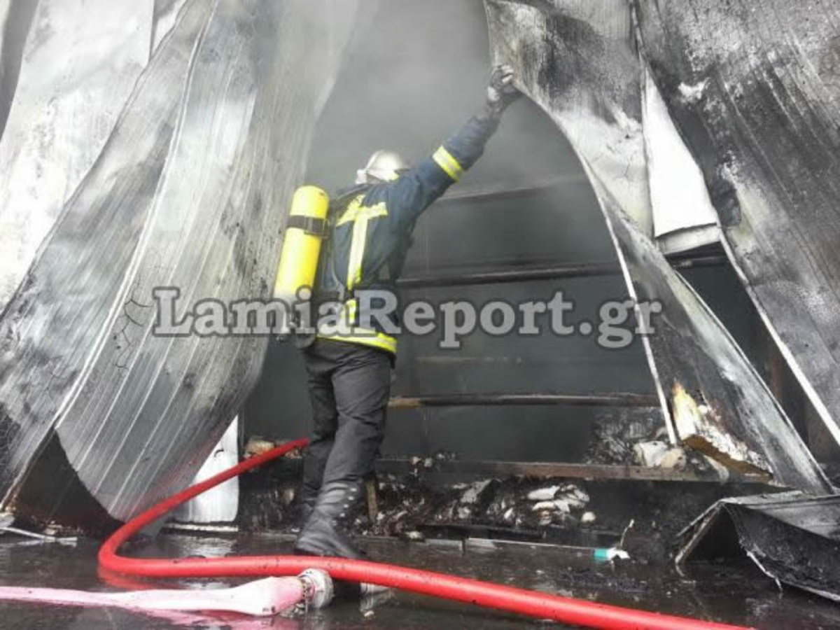 Λαμία: Πυρκαγιά σε εργοστάσιο κοντά στο Μοσχοχώρι (ΦΩΤΟ)